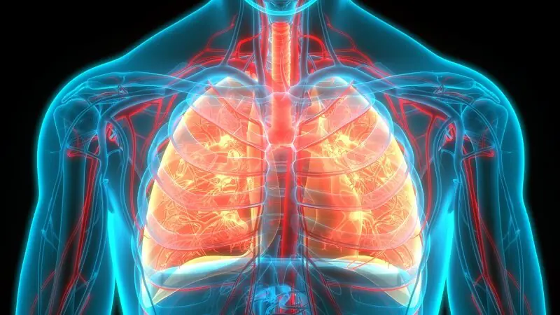 POCT market growth forecast chart or seasonal incidence curve of respiratory diseases